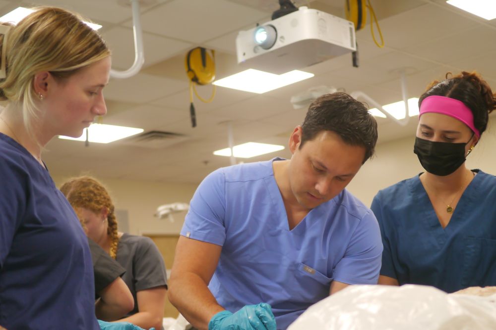 PT students using nursing lab