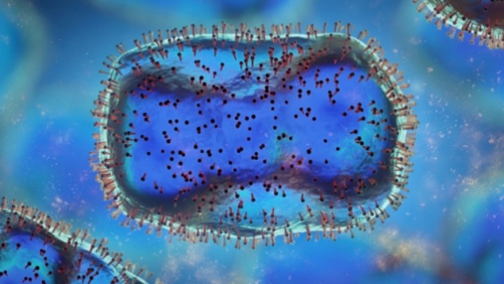 microscopic image of monkeypox