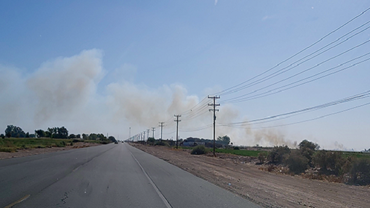 Agricultural Burning occurring next to a road