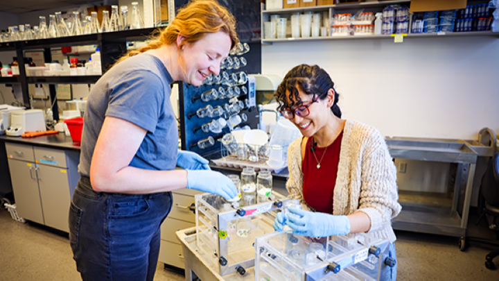 Graduate students experimentally grow drought-resistant plants in a lab on campus.