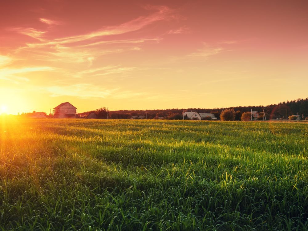 Farm at sunset